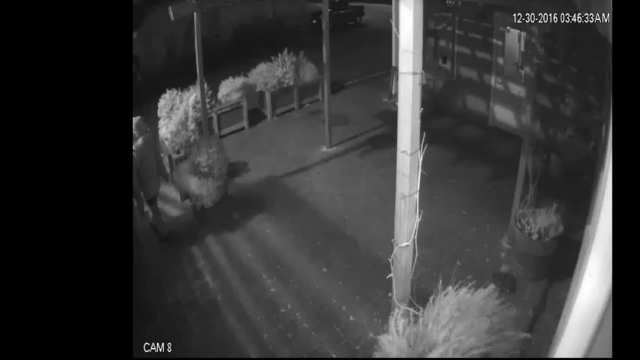 Ramone's Bakery Vandalism - Case 201606389