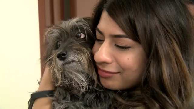 Mimi's Adoption Story