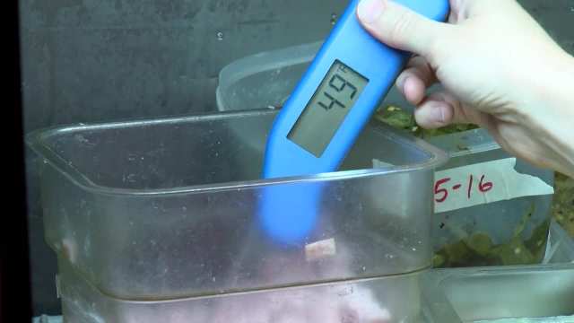 Environmental Services Food Inspector