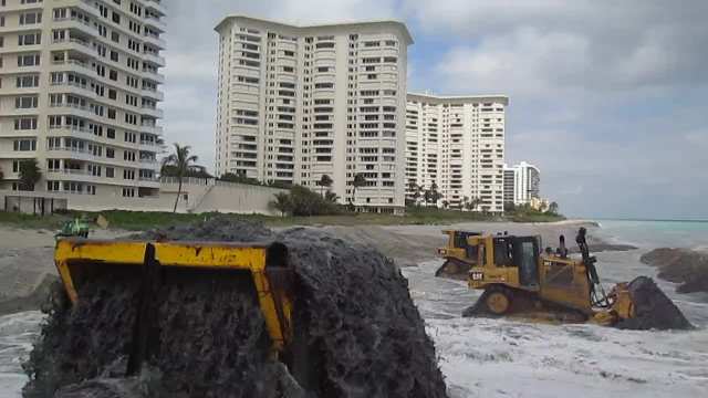 Central Beach Renourishment Feb 2017