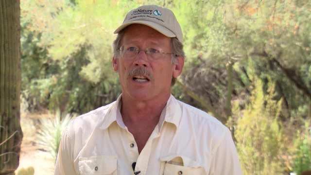 Hassayampa River Preserve  update