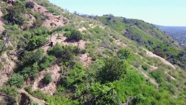 GarciaTrail2017
