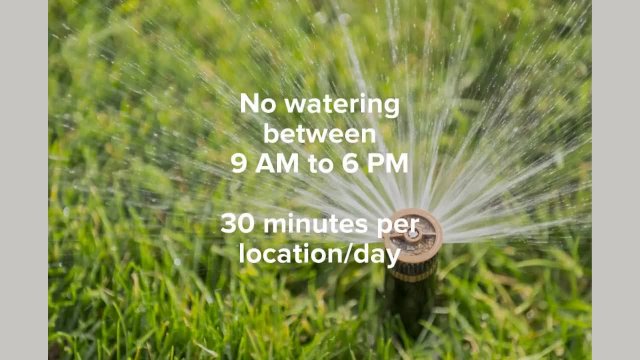 Winter Watering Schedule
