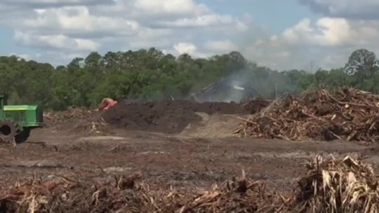 1 - Controlled Burn