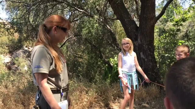 Hiking with Dogs