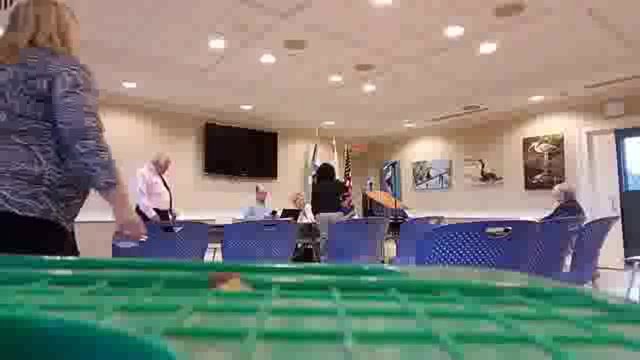 Special Council Meeting 08202018
