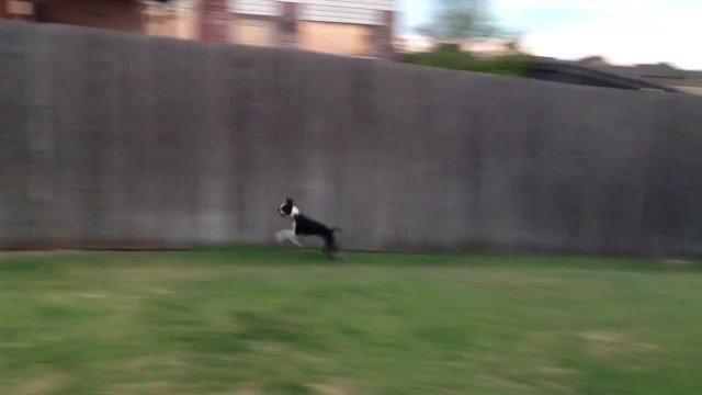 Lola Running