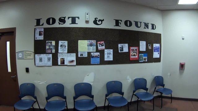 Lost Dog Partnership