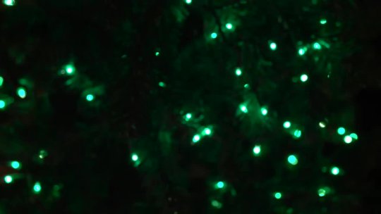 3 - Dundee Griswold Video Dec 2018