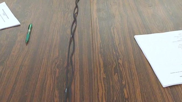 02/04/2019 City Council Meeting