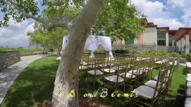 DBC Promo Wedding II