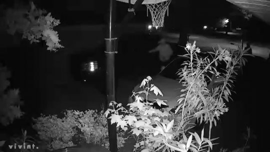 43 - 05202019.EastWildernessWayAutoTheft_video