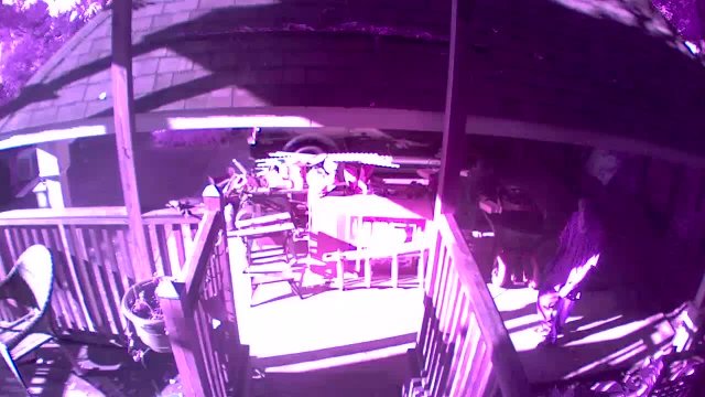 10042019.AttemptedBurglaryCollegeStreet