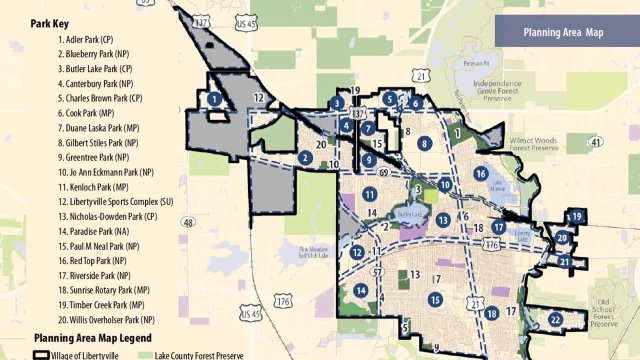 Referendum 2020 - Carey 