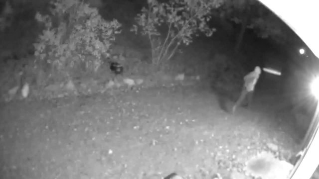 PCBT 5-13-2020 Suspect