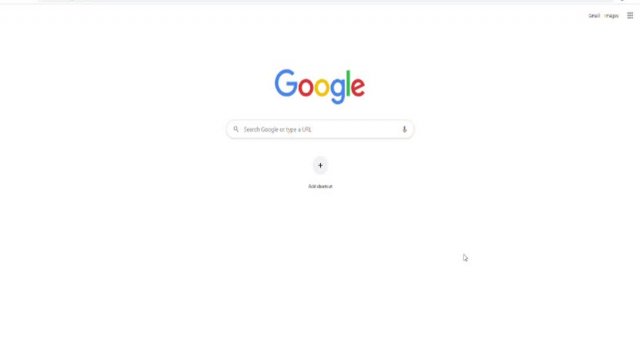 Using the Library Catalog