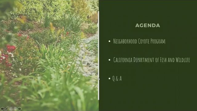 Neighborhood Improvement Services