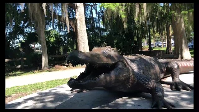 Mount Dora Virtual Tour