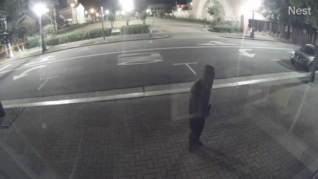 06232020.BurglaryMilamTrim