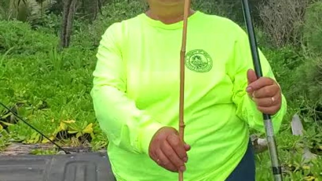 Pole Setup to Shoreline Fish Part 1