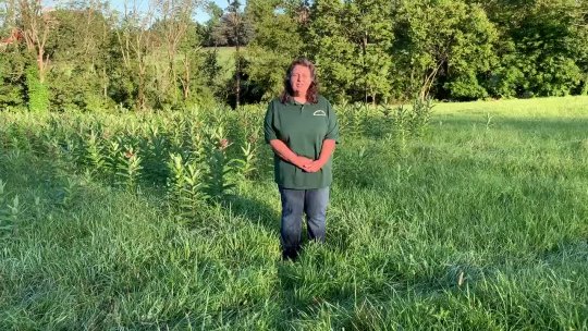 205 - Butterfly Celebration Video Introduction