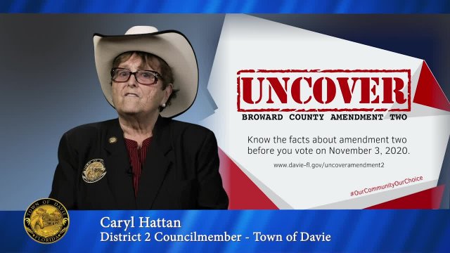 Broward County Charter Amendment PSA 3