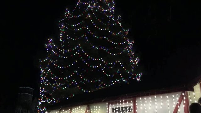 Mayor Christmas in the Park