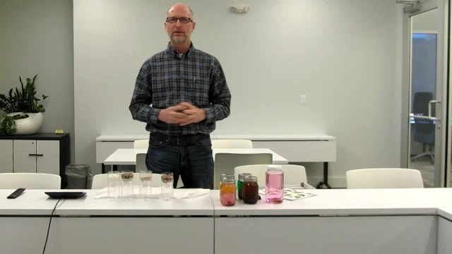 DES Water Filtration Activity 12-8-20