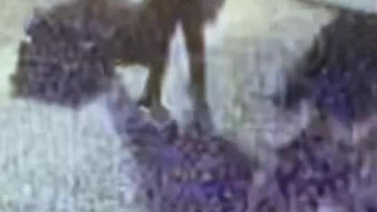 1214 - 20MD01764 VIDEO
