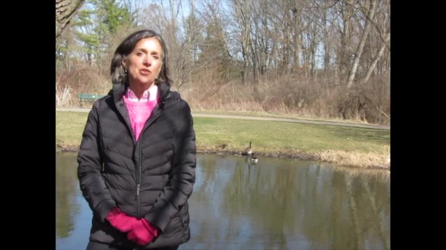Mayors Challenge for Water Conservation