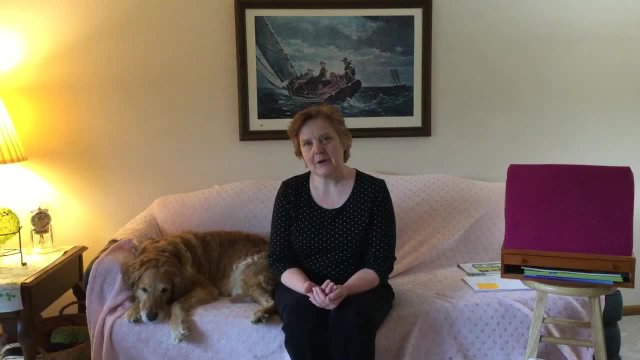 Dogs Storytime - MP