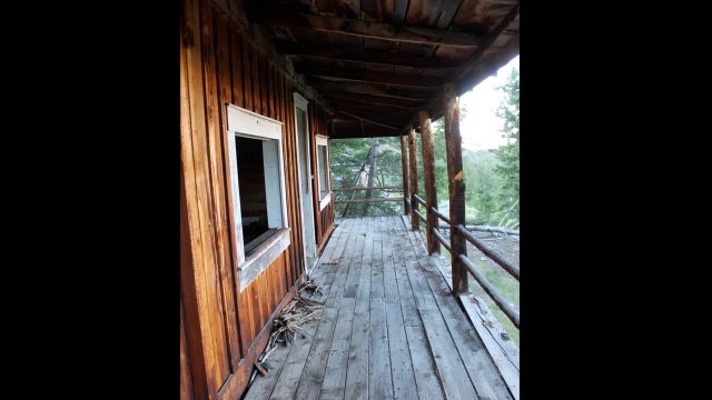 Wild Roots - Summer Steenbarger