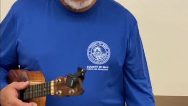 Ukulele Molokai Slide Bridge