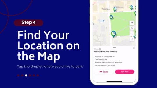 65 - How to use the Flowbird App 