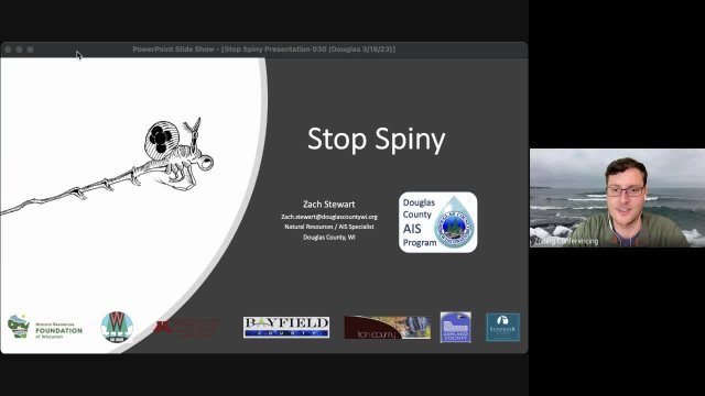 Stop Spiny