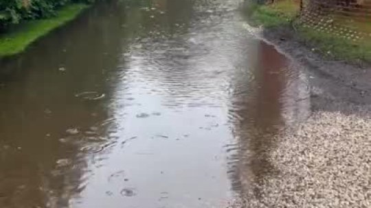 25 -  Runoff Video 1 - North Haven Manor bottomociation