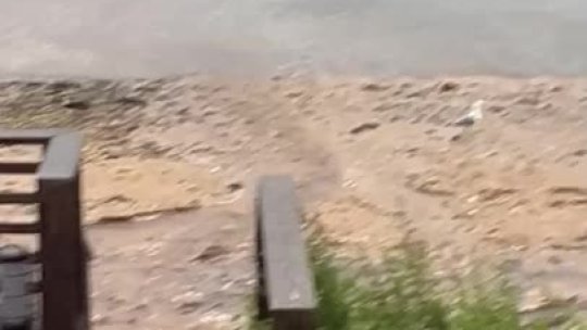 24 -  Runoff Video 2  - North Haven Manor bottomociation