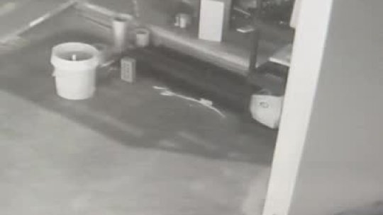 146 - 11072023.CrimeStopperBurglary