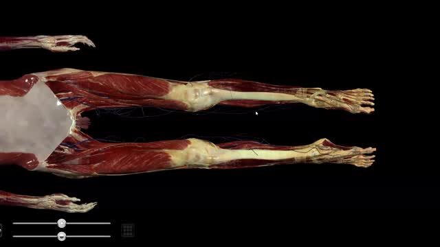 Redevelopment Commission 3-18-24