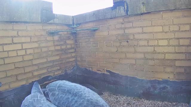 4-25-2024 Changing of the Guard