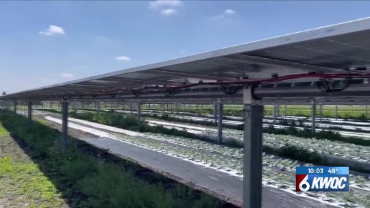 106 - Moline Solar Farm