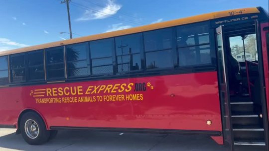 84 - Rescue Express