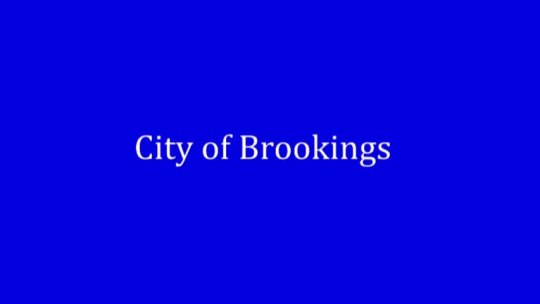 263 - March 10, 2025 City Council Meeting