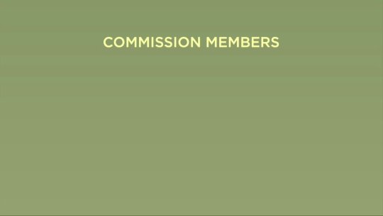 338 - COA Meeting Recording - April 8, 2025