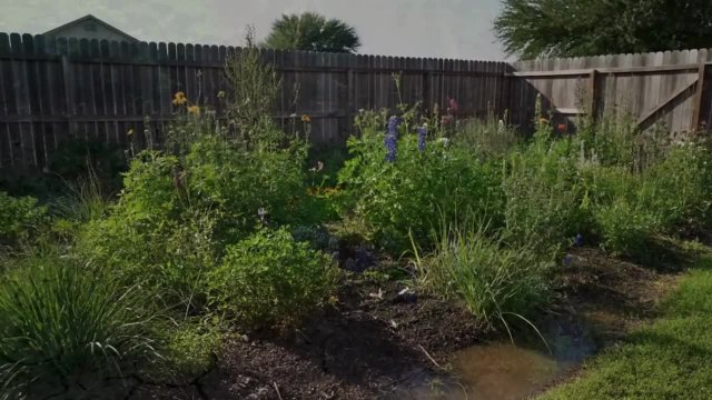 Rainwater Havresting Rebate Program