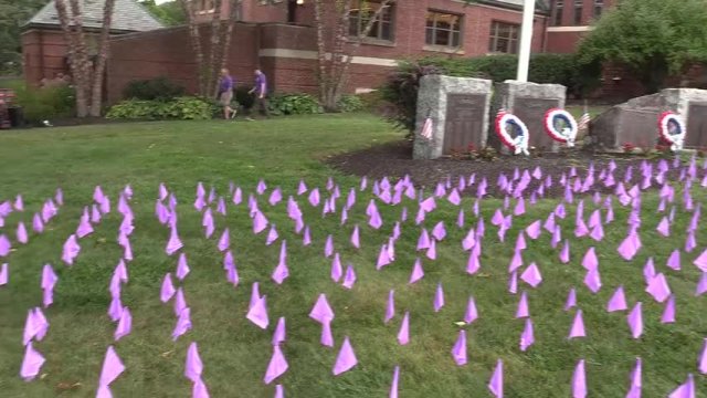 Opioid Awareness 08-27-2025