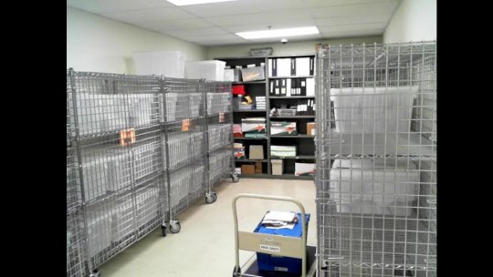 Autorecord Oct 15, 2025 01:34 AM