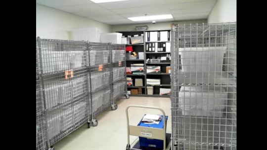 Autorecord Oct 15, 2025 02:30 AM