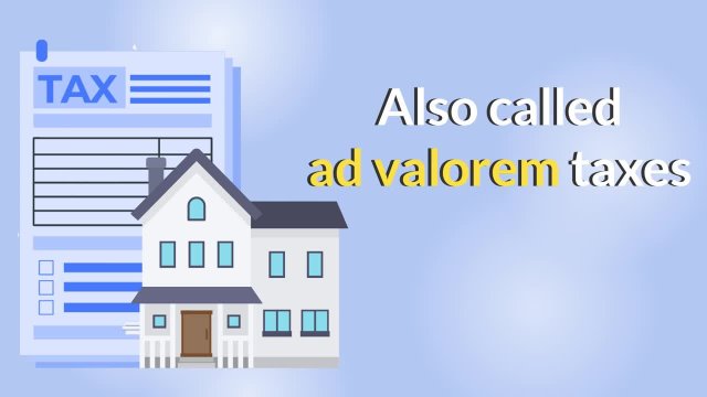 GENERAL REASSESSMENT PROCESS VIDEO