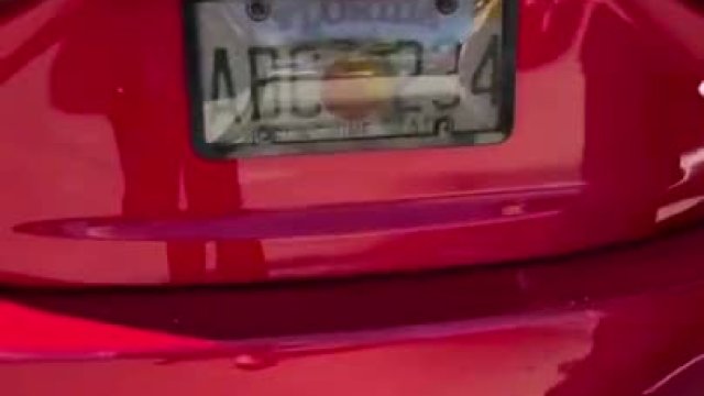 Florida License Plate Frame Law
